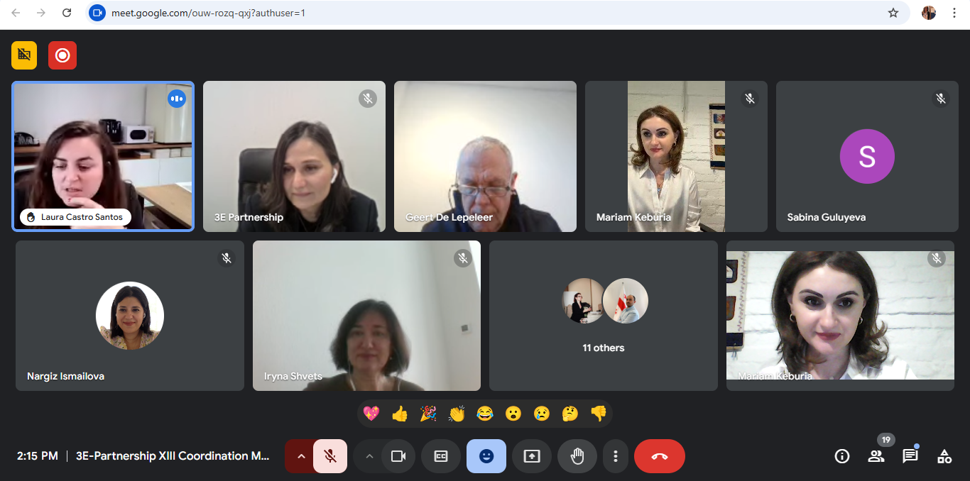 3E-Partnership Project – 13th Consortium Meeting Highlights
